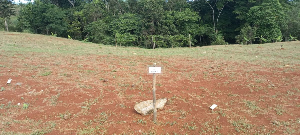 Colorada Park Lote 4